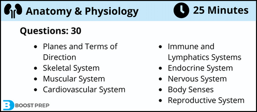 An overview of the HESI anatomy and physiology exam. The exam consists of 30 questions.